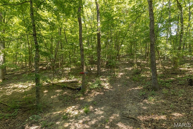 1555 Pine Ridge Trl, Park Hills, MO 63601 - photo 20