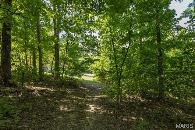 1555 Pine Ridge Trl, Park Hills, MO 63601 - photo 21