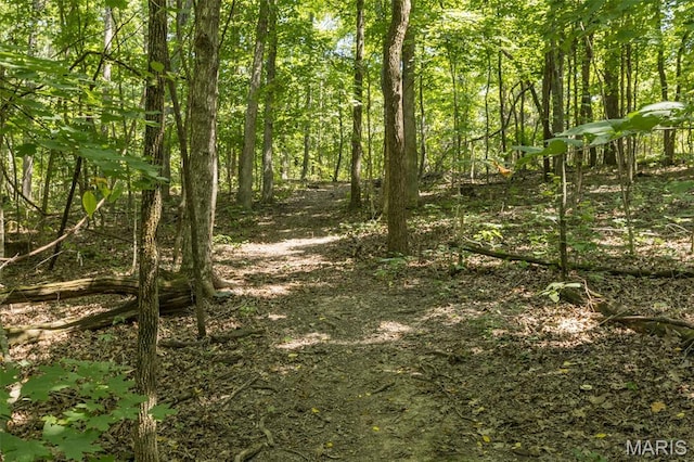 1555 Pine Ridge Trl, Park Hills, MO 63601 - photo 22
