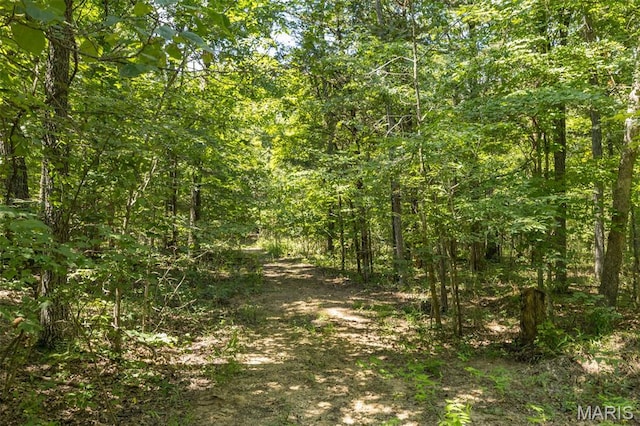1555 Pine Ridge Trl, Park Hills, MO 63601 - photo 27