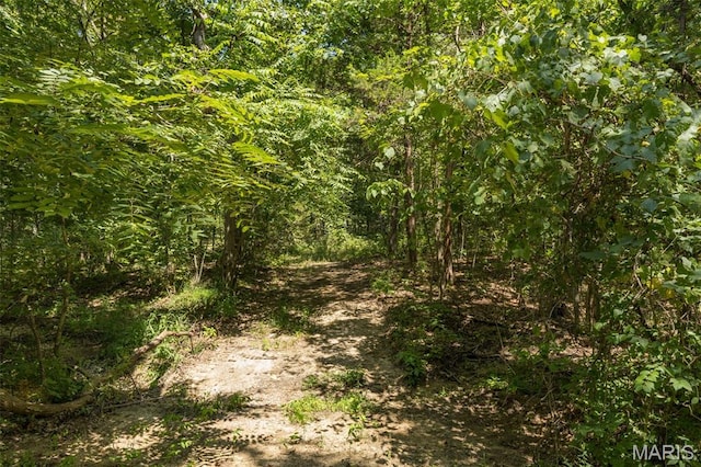 1555 Pine Ridge Trl, Park Hills, MO 63601 - photo 28