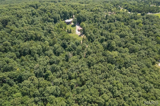 1555 Pine Ridge Trl, Park Hills, MO 63601 - photo 39