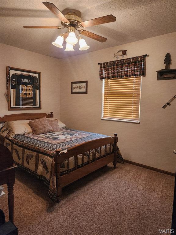 634 Saint Dennis St, St James, MO 65559 - photo 17