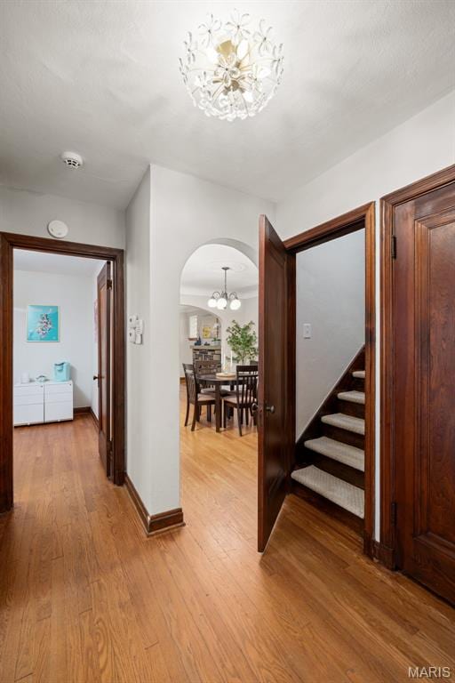 6570 Lindenwood Pl, Saint Louis, MO 63109 - photo 24