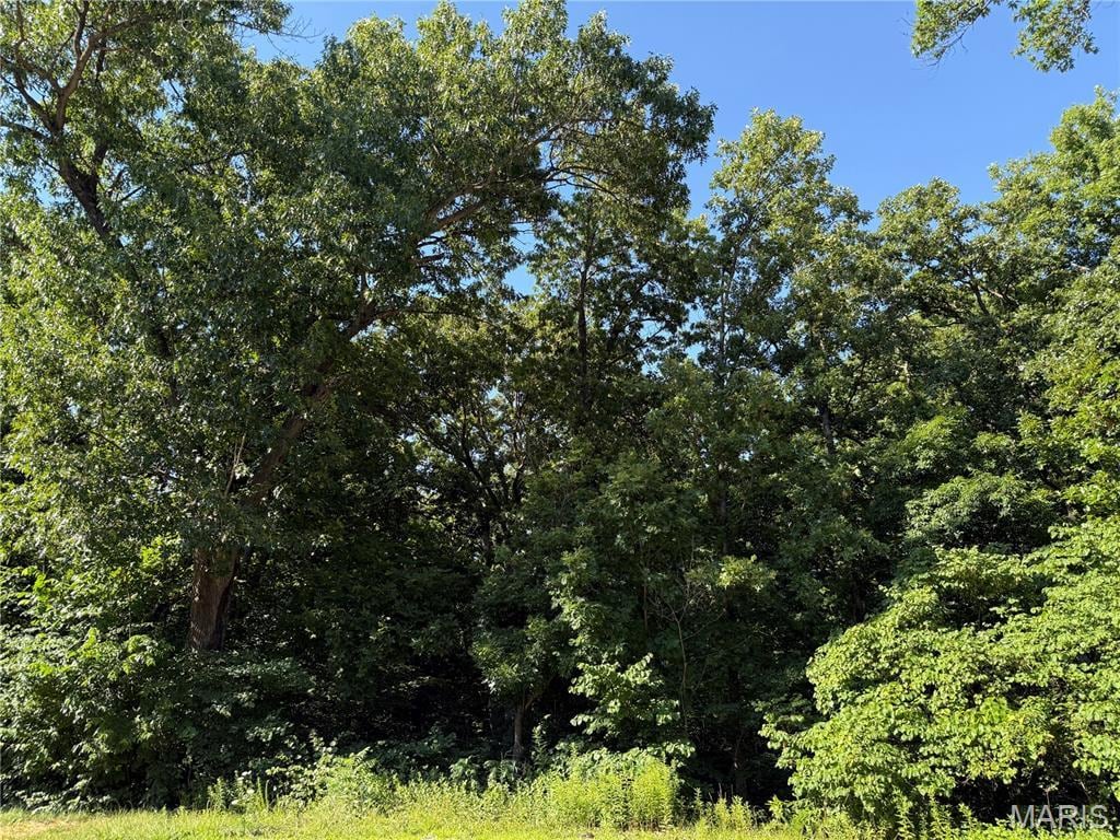 10 Big Tom Ct, Hawk Point, MO 63349 - photo 1