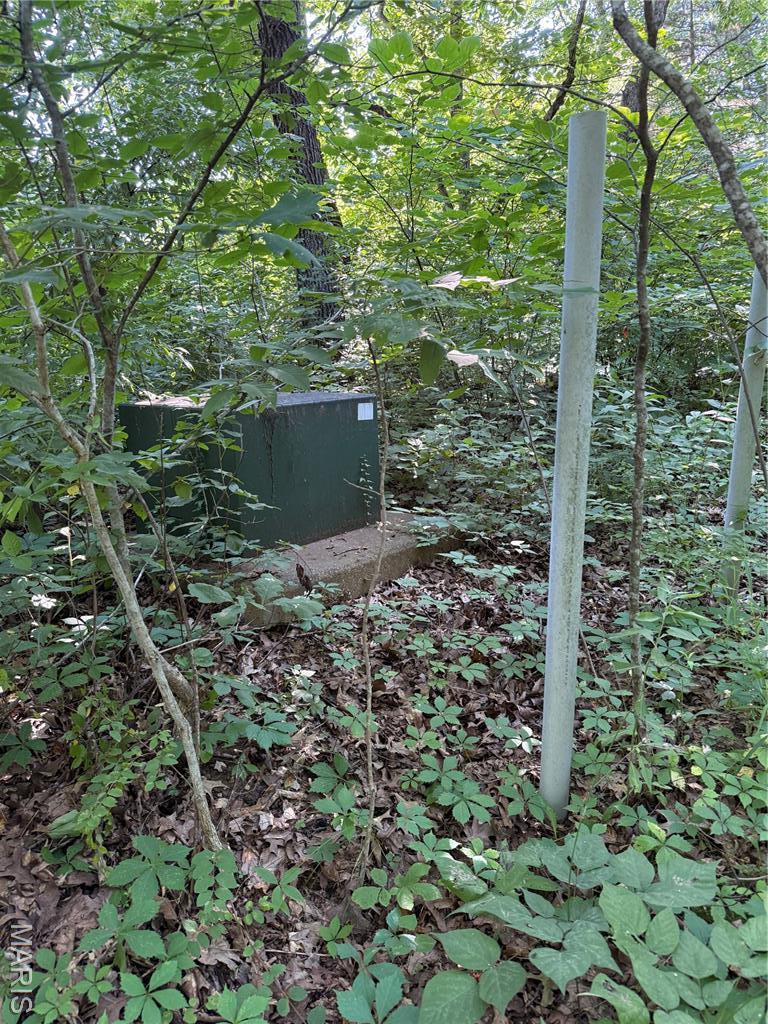 10 Big Tom Ct, Hawk Point, MO 63349 - photo 2