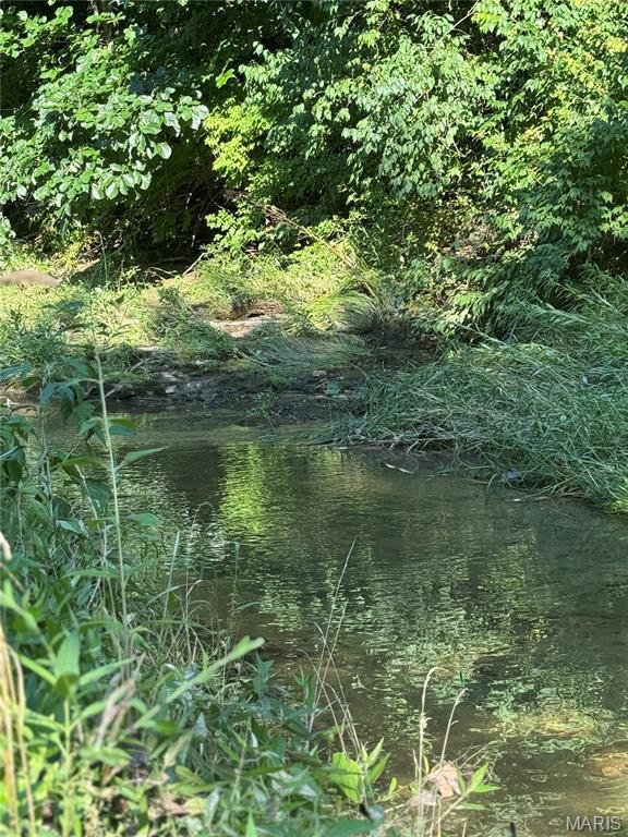 10 Big Tom Ct, Hawk Point, MO 63349 - photo 3