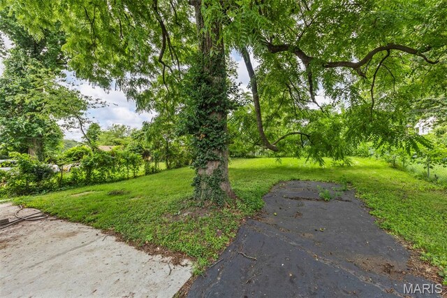 9408 Echo Ln, Overland, MO 63114 - photo 29