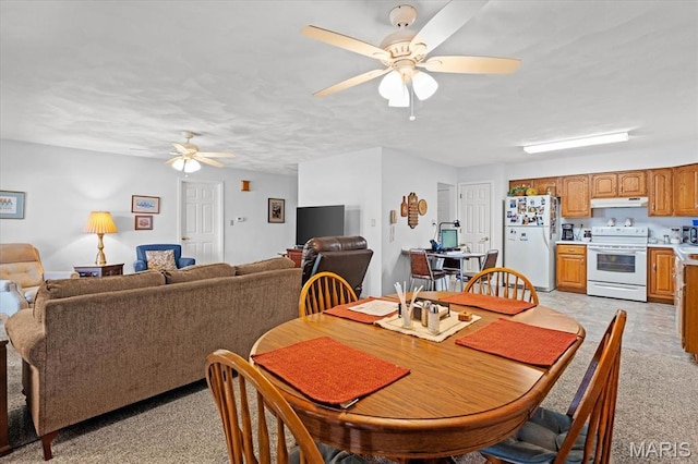 29 Cedar St, Millstadt, IL 62260 - photo 34