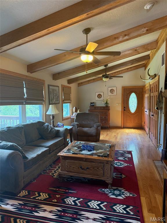 2384 W Evergreen Dr, Pacific, MO 63069 - photo 6