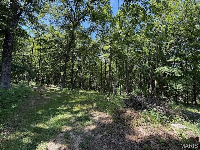 2384 W Evergreen Dr, Pacific, MO 63069 - photo 13