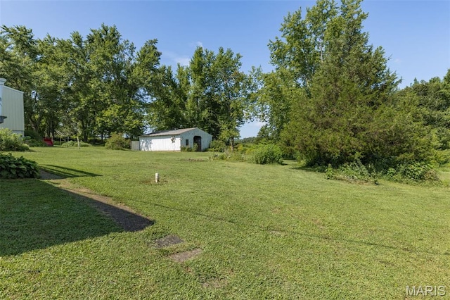 1057 Knob Lick Rd, Knob Lick, MO 63640 - photo 3