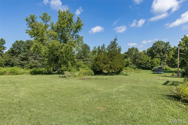 1057 Knob Lick Rd, Knob Lick, MO 63640 - photo 5