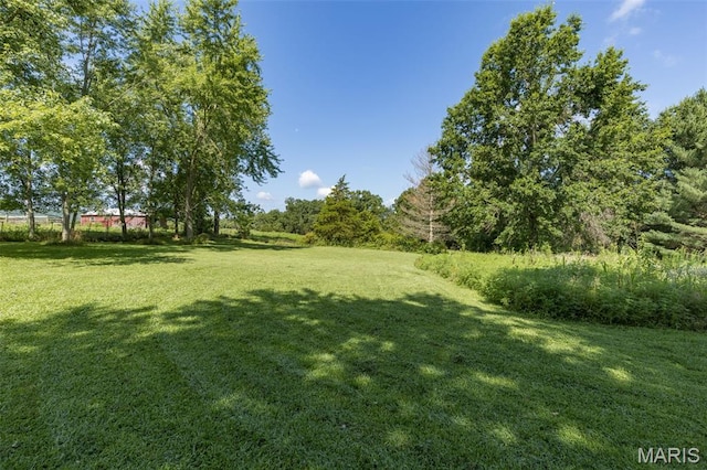 1057 Knob Lick Rd, Knob Lick, MO 63640 - photo 7