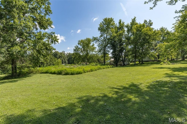 1057 Knob Lick Rd, Knob Lick, MO 63640 - photo 8