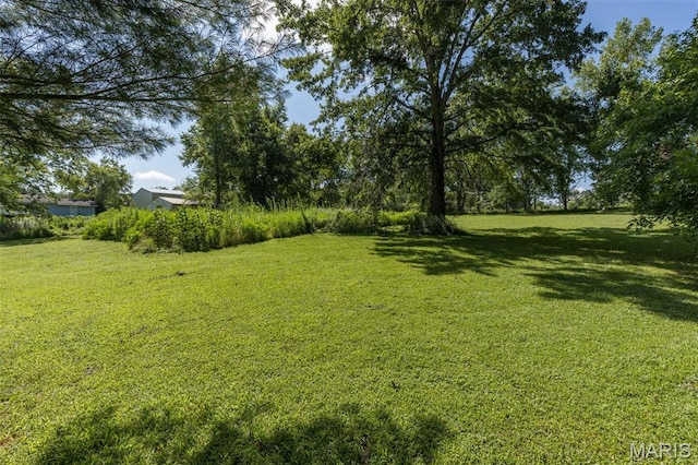1057 Knob Lick Rd, Knob Lick, MO 63640 - photo 9