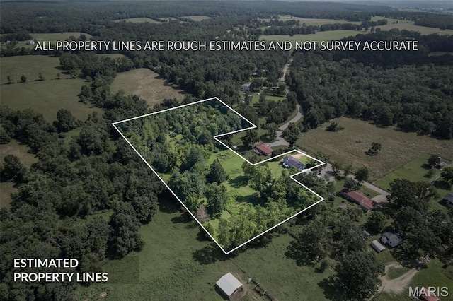 1057 Knob Lick Rd, Knob Lick, MO 63640 - photo 10