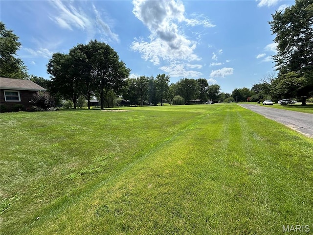 904 Davies Ln, Granite City, IL 62040 - photo 40