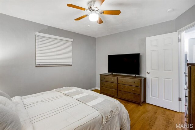 910 Virgo Ln, Lemay Township, MO 63125 - photo 14