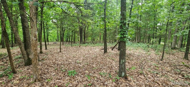 2346 W Squire Rd, Mo, MO 63357 - photo 3