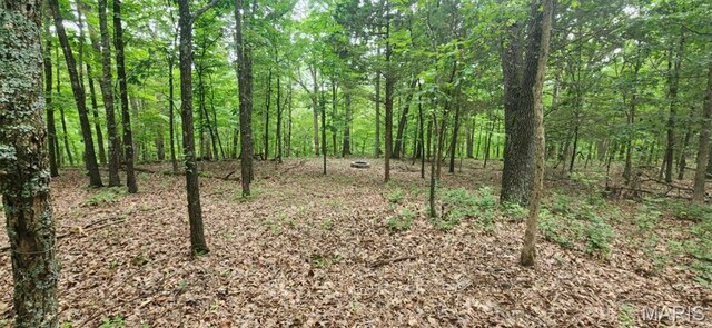 2346 W Squire Rd, Mo, MO 63357 - photo 6