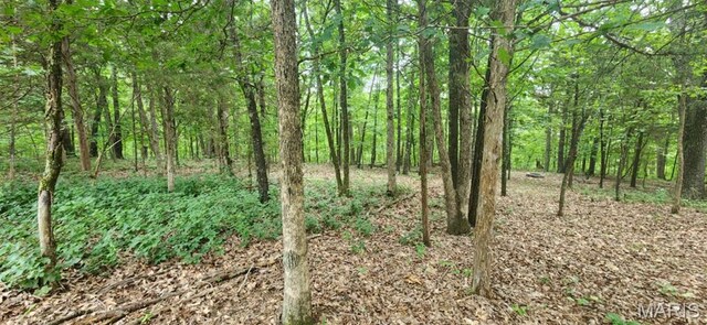 2346 W Squire Rd, Mo, MO 63357 - photo 7