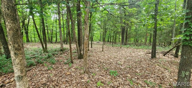 2346 W Squire Rd, Mo, MO 63357 - photo 9