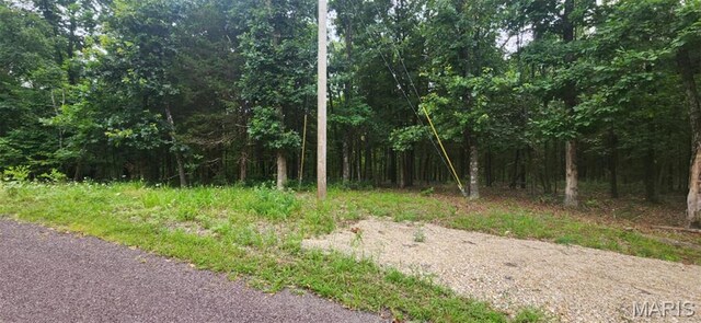 2346 W Squire Rd, Mo, MO 63357 - photo 11