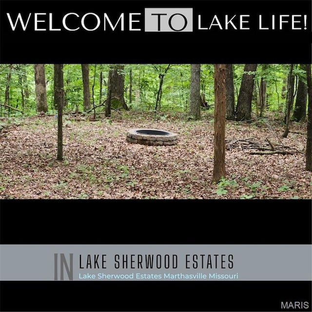 2346 W Squire Rd, Mo, MO 63357 - photo 1