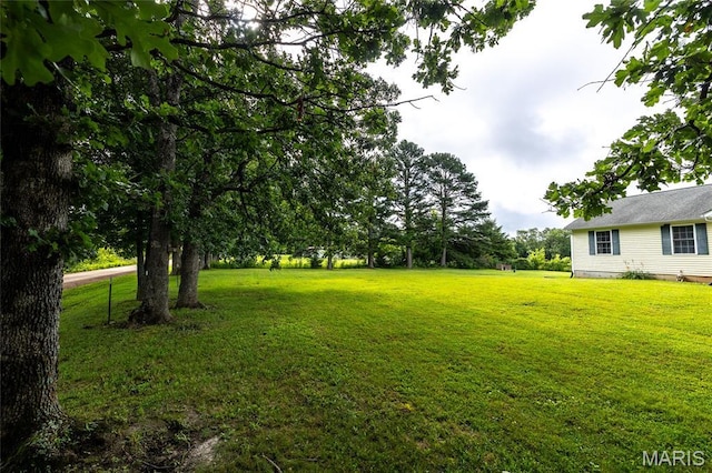 736 Westbrook Rd, Cuba, MO 65453 - photo 33