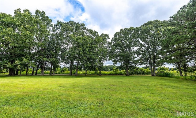 736 Westbrook Rd, Cuba, MO 65453 - photo 34