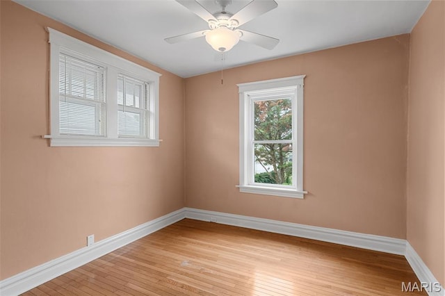 4062 Potomac St, Saint Louis, MO 63116 - photo 18
