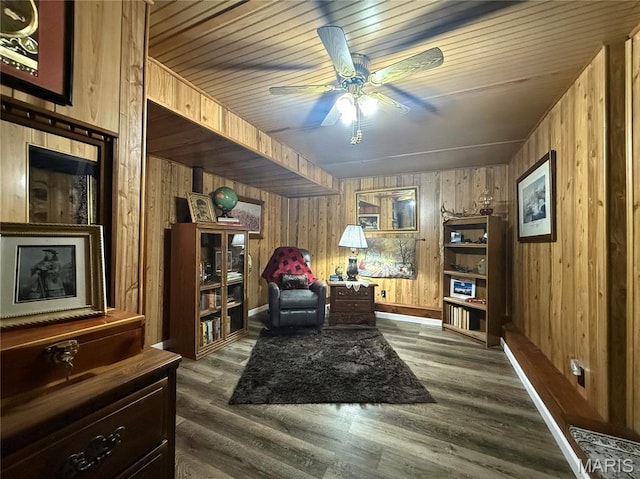 11253 Stoney Point Rd, Mineral Point, MO 63660 - photo 26
