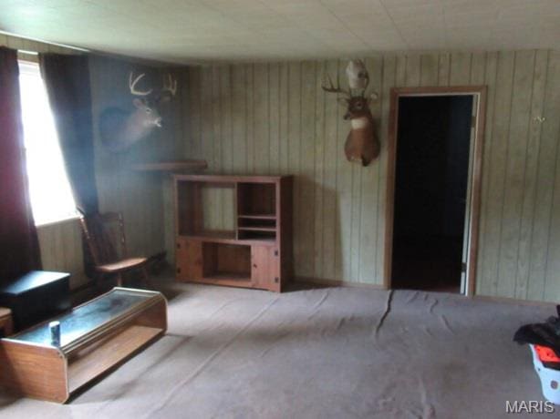 816 Hampton Ln, Canton, MO 63435 - photo 6