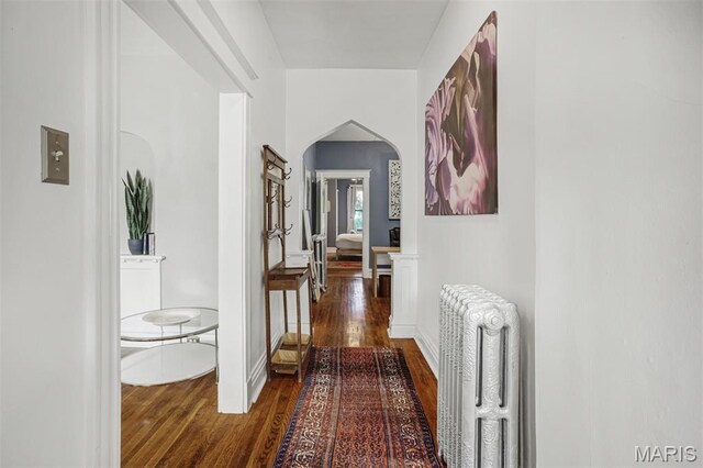 4138 Botanical Ave, Saint Louis, MO 63110 - photo 8