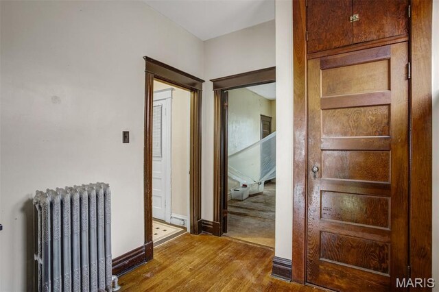 4138 Botanical Ave, Saint Louis, MO 63110 - photo 37