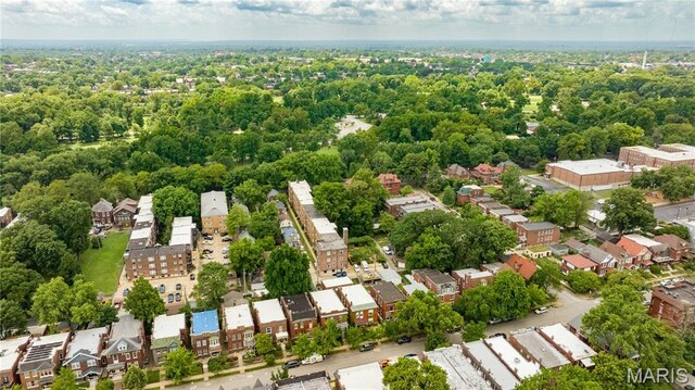 4138 Botanical Ave, Saint Louis, MO 63110 - photo 59