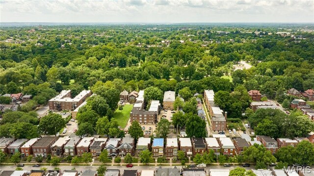 4138 Botanical Ave, Saint Louis, MO 63110 - photo 60