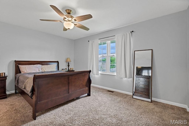 371 Spencer Hill Ct, Saint Peters, MO 63376 - photo 13