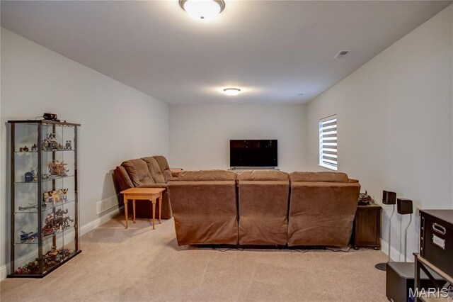 1 Meadowbrooke Dr, Troy, IL 62294 - photo 40