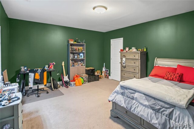 1 Meadowbrooke Dr, Troy, IL 62294 - photo 42