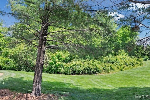 7409 Triwoods Dr Unit D, Shrewsbury, MO 63119 - photo 14