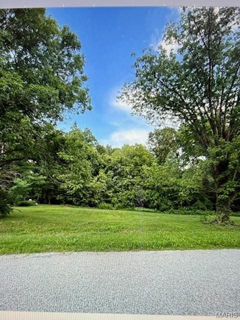 7 Maple Dr, Dorsey, IL 62021 - photo 1
