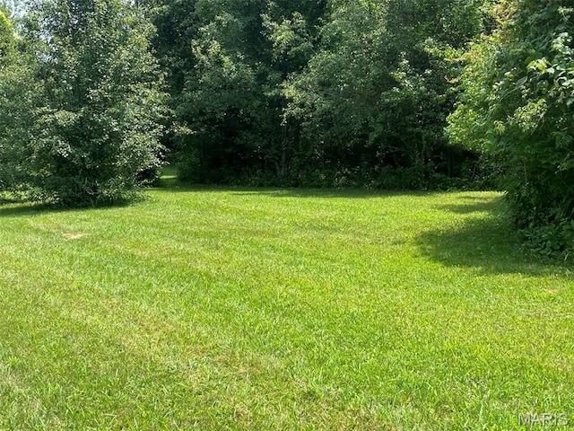 1970 Sugar Springs Rd, Festus, MO 63028 - photo 1