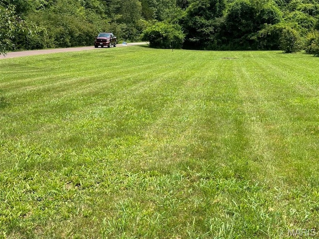 1970 Sugar Springs Rd, Festus, MO 63028 - photo 2