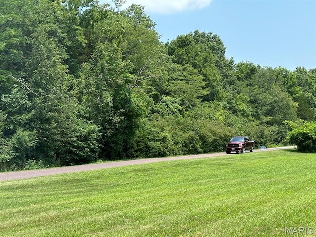 1970 Sugar Springs Rd, Festus, MO 63028 - photo 3