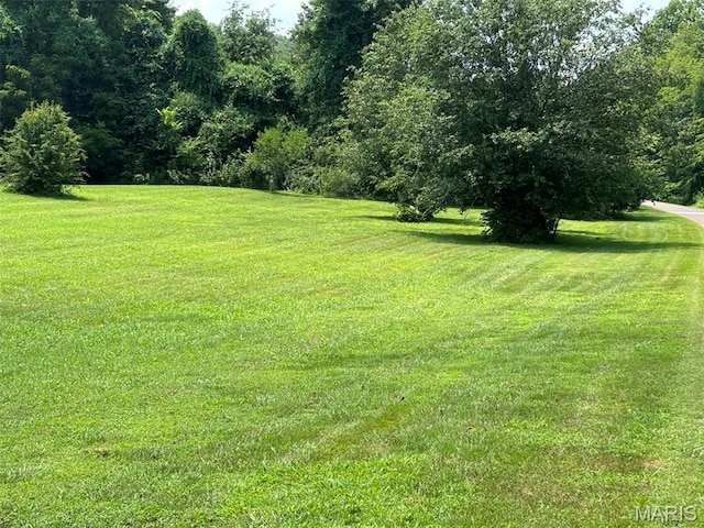 1970 Sugar Springs Rd, Festus, MO 63028 - photo 4