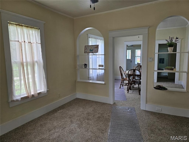 136 N Hamilton St, Hillsboro, IL 62049 - photo 15