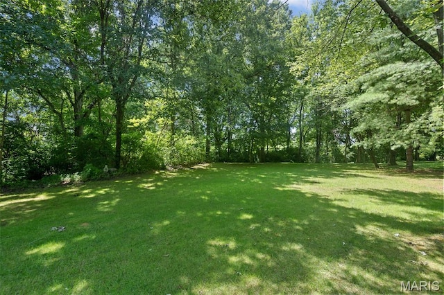 1518 William Ln, Swansea, IL 62226 - photo 8