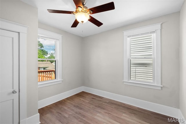 5119 Dresden Ave, Saint Louis, MO 63116 - photo 15